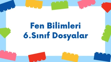 Fen Bilimleri 6. Sınıf Konuları