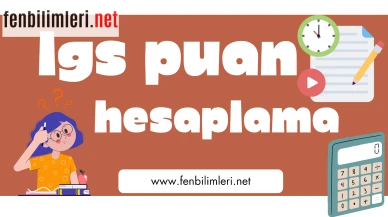 LGS Puan Hesaplama